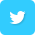 footer-twitter
